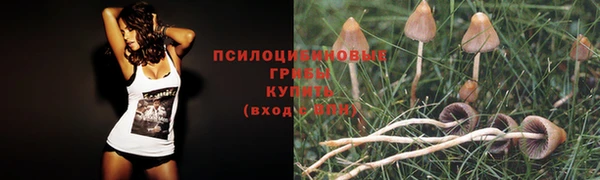 a pvp Балахна