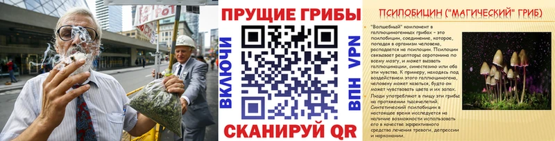 Галлюциногенные грибы MAGIC MUSHROOMS  даркнет формула  Боровск  KRAKEN маркетплейс 